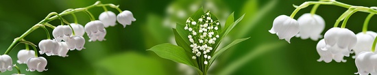 306